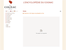 Tablet Screenshot of pediacognac.com